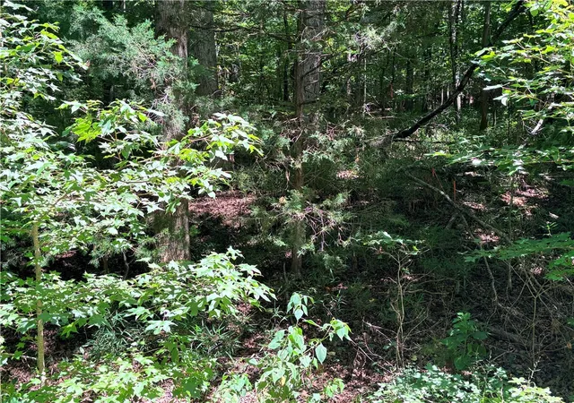 Photo 3 of Land for sale at 2176 N Lot Sundew Dr, Westminster, SC 29693 | MLS# 20304853 | Listing updated on 2026-08-08