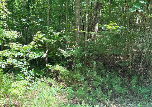 Photo 3 of Land for sale at Lot N 2177 Sundew Dr, Westminster, SC 29693 | MLS# 20304858 | Listing updated on 2026-08-08