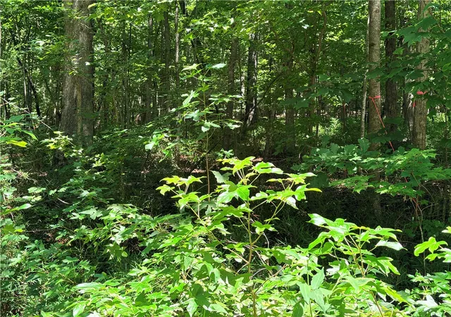 Photo 3 of Land for sale at Lot N 2177 Sundew Dr, Westminster, SC 29693 | MLS# 20304858 | Listing updated on 2026-08-08