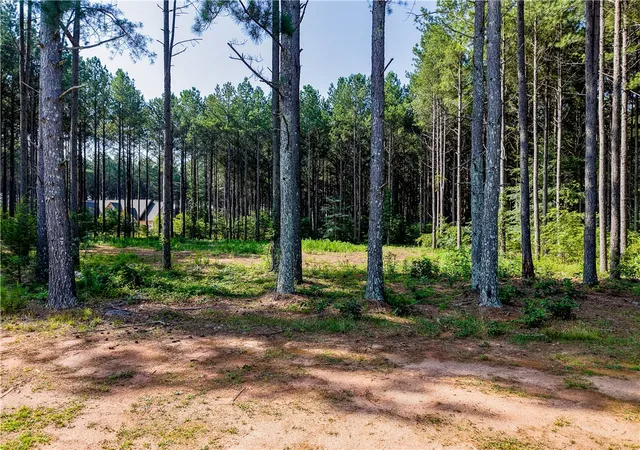 2nd image of Lot C 2 Rogers Rd, Pendleton, SC 29670 | MLS# 20303504