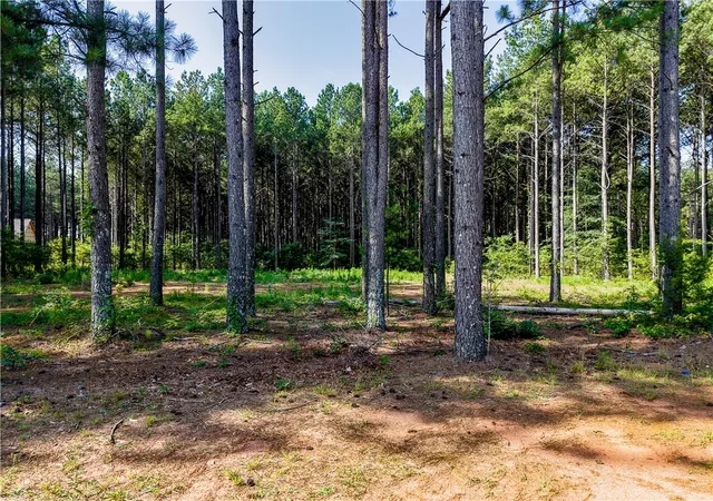 3rd image of Lot C-2 Rogers Rd, Pendleton, SC 29670 | MLS# 20303504