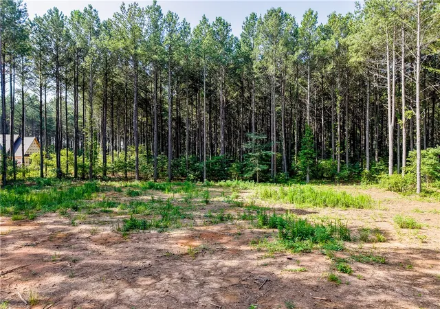 4th image of Lot C-2 Rogers Rd, Pendleton, SC 29670 | MLS# 20303504