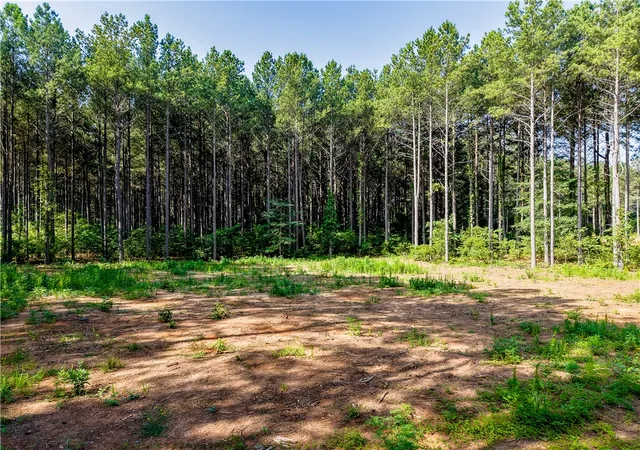 5th image of Lot C-2 Rogers Rd, Pendleton, SC 29670 | MLS# 20303504