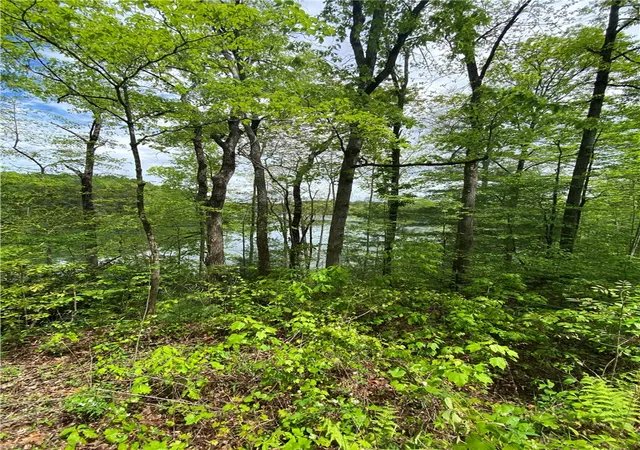 Photo 3 of Land for sale at 0 Crystal Lake Rd #36, Mountain Rest, SC 29664 | MLS# 20304930 | Listing updated on 2026-08-11