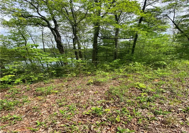 Photo 4 of Land for sale at 0 Crystal Lake Rd #36, Mountain Rest, SC 29664 | MLS# 20304930 | Listing updated on 2026-08-11