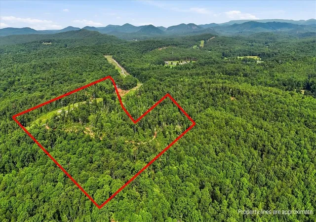 17th image of 0000 Moorefield Memorial Hwy, Pickens, SC 29671 | MLS# 20304966