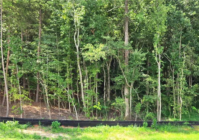 Photo 3 of Land for sale at 00 Pacolet Hwy, Gaffney, SC 29340 | MLS# 20304988 | Listing updated on 2026-08-13