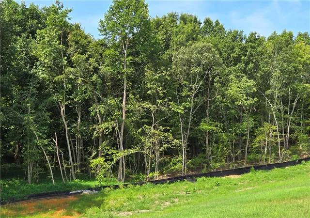 Photo 4 of Land for sale at 00 Pacolet Hwy, Gaffney, SC 29340 | MLS# 20304988 | Listing updated on 2026-08-13
