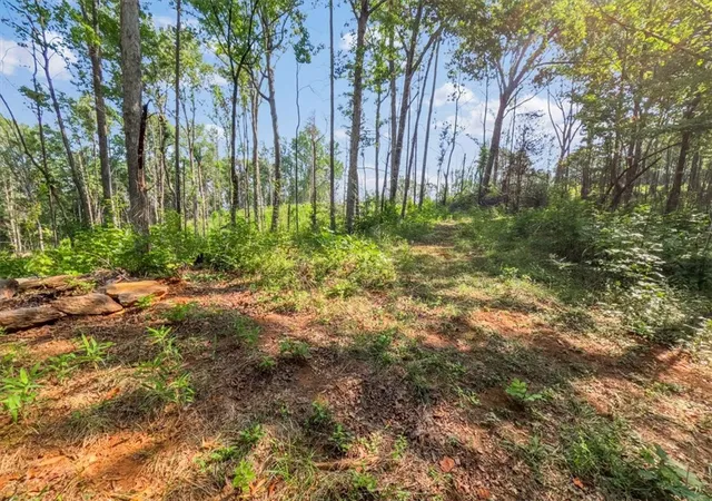 Photo 3 of Land for sale at Tract Q The Bear Blvd, Tamassee, SC 29686 | MLS# 20305099 | Listing updated on 2026-08-29