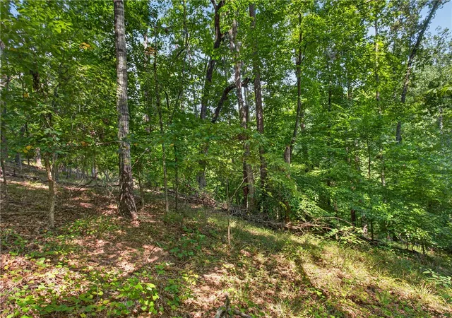 Photo 1 of Land for sale at 206 Shipmaster Dr, Salem, SC 29676 | MLS# 20305118 | Listing updated on 2026-08-17