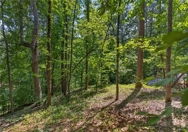 Photo 2 of Land for sale at 206 Shipmaster Dr, Salem, SC 29676 | MLS# 20305118 | Listing updated on 2026-08-17