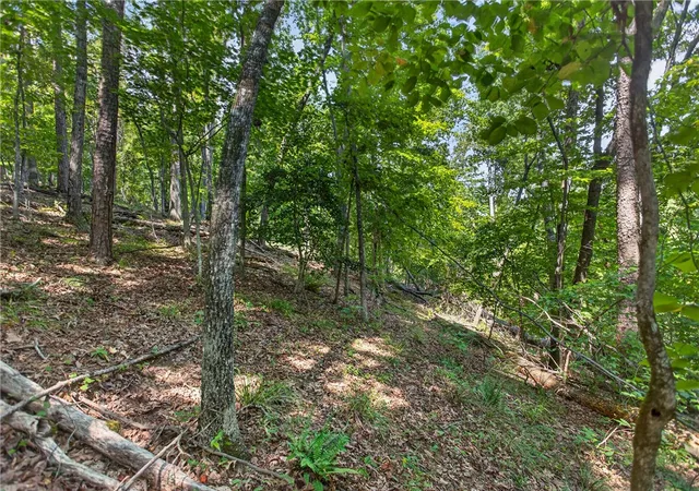 Photo 3 of Land for sale at 206 Shipmaster Dr, Salem, SC 29676 | MLS# 20305118 | Listing updated on 2026-08-17