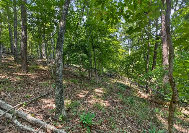 Photo 3 of Land for sale at 206 Shipmaster Dr, Salem, SC 29676 | MLS# 20305118 | Listing updated on 2026-08-17