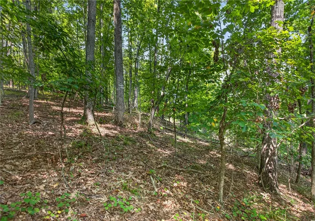 Photo 4 of Land for sale at 206 Shipmaster Dr, Salem, SC 29676 | MLS# 20305118 | Listing updated on 2026-08-17