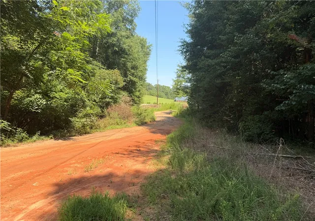 10th image of 163 Liberty Hwy, Liberty, SC 29657 | MLS# 20305197