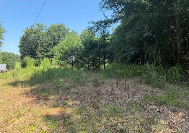 1st image of 163 Liberty Hwy, Liberty, SC 29657 | MLS# 20305197