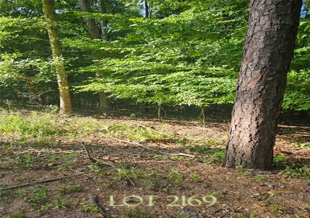 Photo 1 of Land for sale at Lot 2169 N Sundew Dr, Westminster, SC 29693 | MLS# 20305136 | Listing updated on 2026-09-10