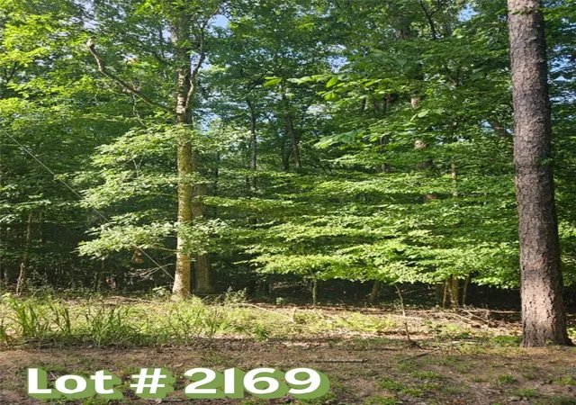 Photo 2 of Land for sale at Lot 2169 N Sundew Dr, Westminster, SC 29693 | MLS# 20305136 | Listing updated on 2026-09-10