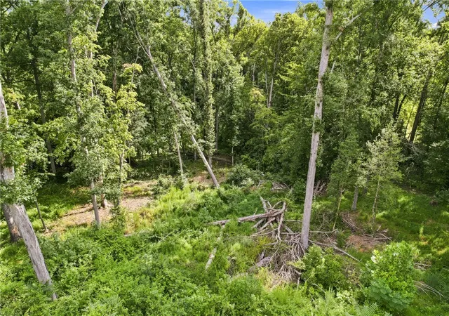 47th image of 525 Shirley Store Rd, Anderson, SC 29621 | MLS# 20305343