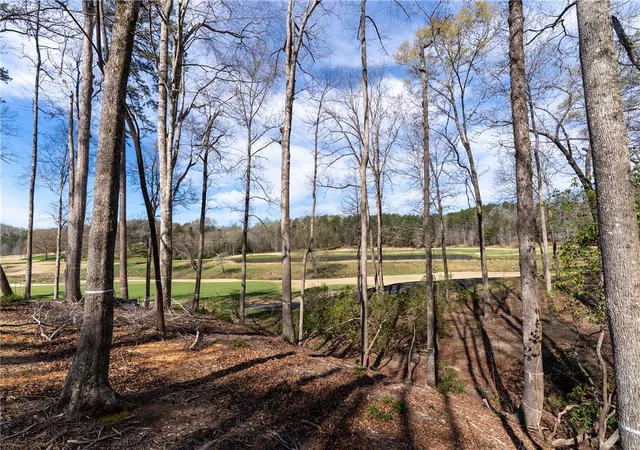 Photo 3 of Land for sale at Lot 1 Cliffs South Pkwy, Salem, SC 29676 | MLS# 20305265 | Listing updated on 2026-08-25