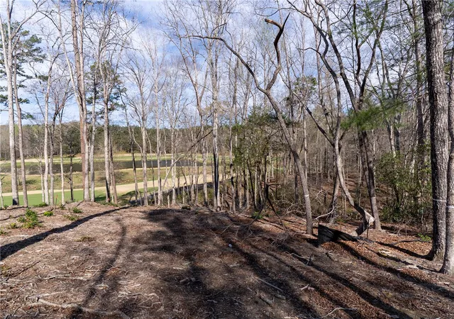 Photo 3 of Land for sale at Lot 1 Cliffs South Pkwy, Salem, SC 29676 | MLS# 20305265 | Listing updated on 2026-08-25