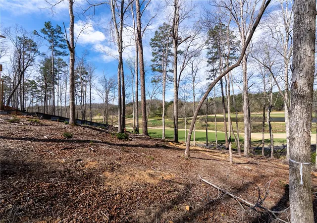 Photo 4 of Land for sale at Lot 1 Cliffs South Pkwy, Salem, SC 29676 | MLS# 20305265 | Listing updated on 2026-08-25
