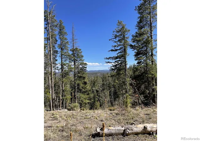 2nd image of 66 Piegan Ct, Red Feather Lakes, CO 80545 | MLS# IR1056618