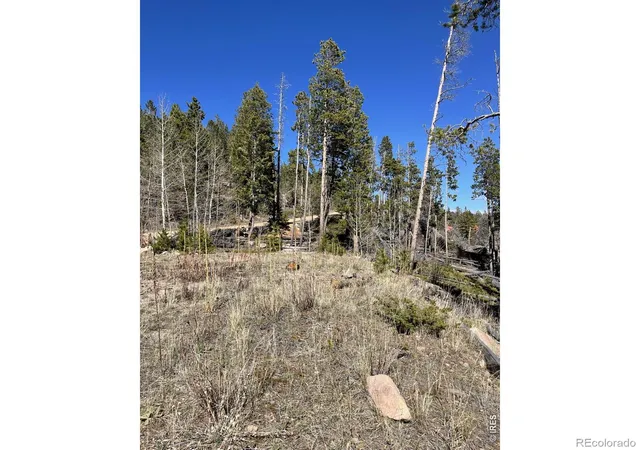 3rd image of 66 Piegan Ct, Red Feather Lakes, CO 80545 | MLS# IR1056618