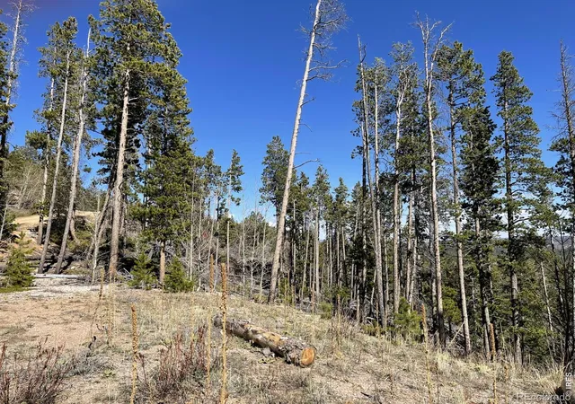 4th image of 66 Piegan Ct, Red Feather Lakes, CO 80545 | MLS# IR1056618