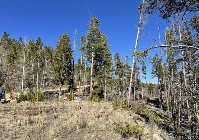 5th image of 66 Piegan Ct, Red Feather Lakes, CO 80545 | MLS# IR1056618