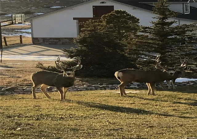 4th image of 2385 Antelope Ridge Trl, Parker, CO 80138 | MLS# 4136202