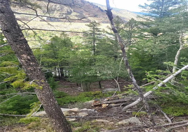 4th image of 00 Guanella Pass Rd, Georgetown, CO 80444 | MLS# 8726426