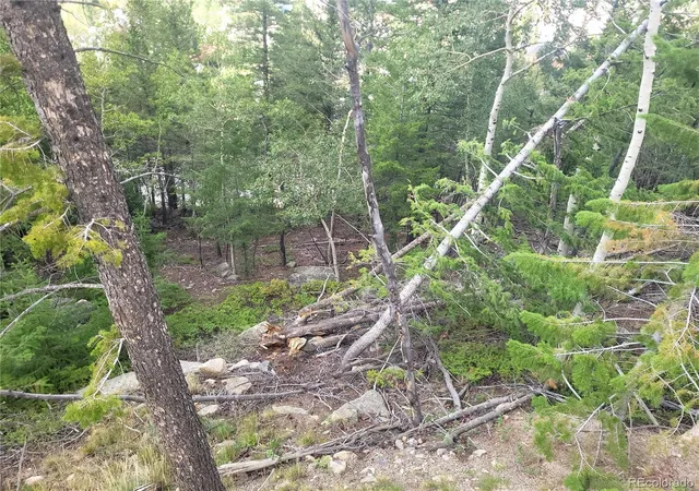 5th image of 00 Guanella Pass Rd, Georgetown, CO 80444 | MLS# 8726426