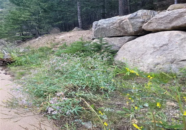 10th image of 00 Guanella Pass Rd, Georgetown, CO 80444 | MLS# 8726426