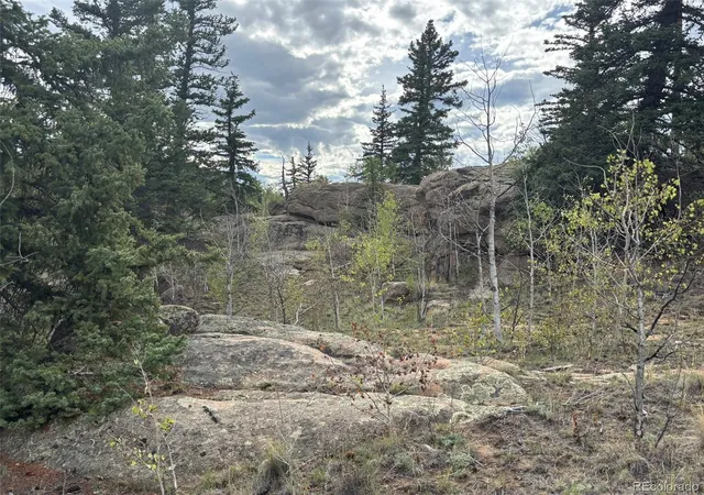 5th image of 150 Ambush Ln, Jefferson, CO 80456 | MLS# 6259966