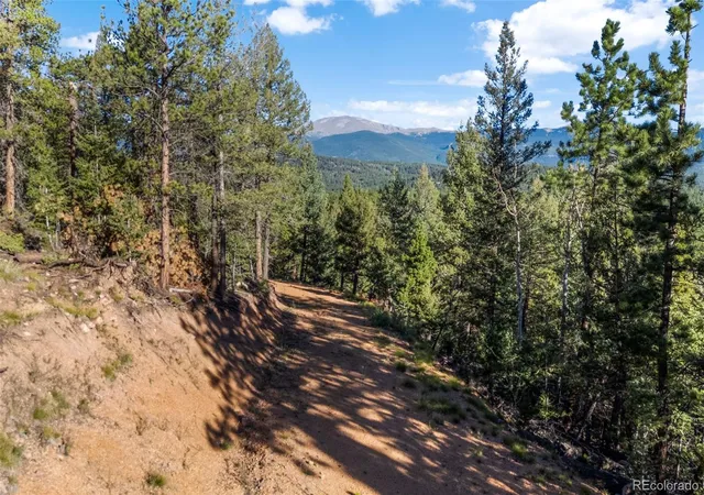 10th image of 157 Saddle Horn Ln, Bailey, CO 80421 | MLS# 7780509