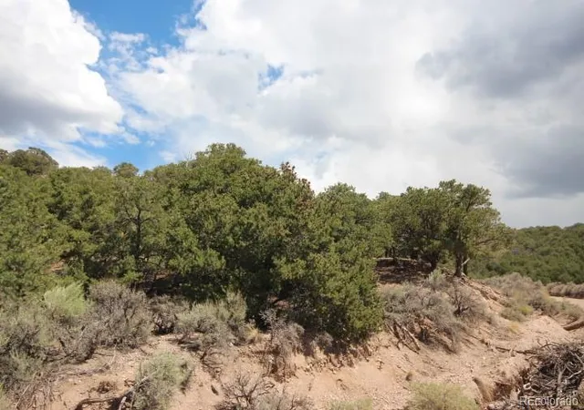 Photo 2 of Land for sale at Lot 2157 San Isabel Rd, Fort Garland, CO 81133 | MLS# 5672674 | Listing updated on 2026-08-26