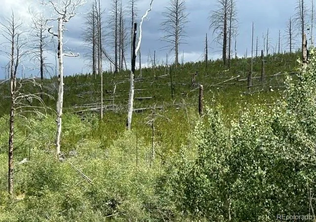 5th image of Block Four (4), Lot Five (5), Paradise Acres Subdi, La Veta, CO 81055 | MLS# 8760872