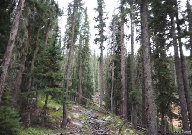 Photo 14 of Sale Pending at Lot 6621` Clinton Rd, San Luis, CO 81152 | MLS# 8964448 | Listing updated on 2026-08-24