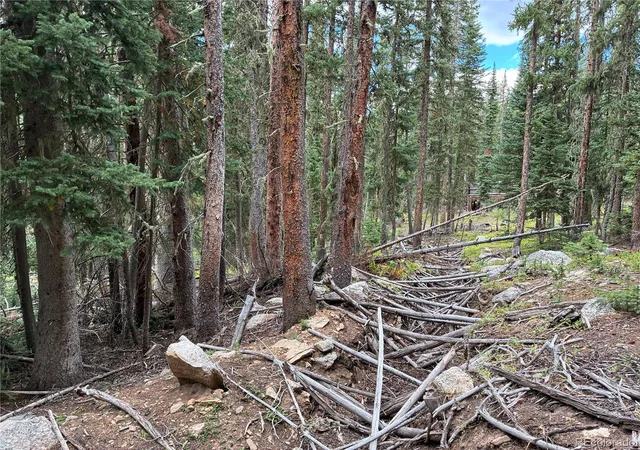 Photo 4 of Sale Pending at Lot 6621` Clinton Rd, San Luis, CO 81152 | MLS# 8964448 | Listing updated on 2026-08-24