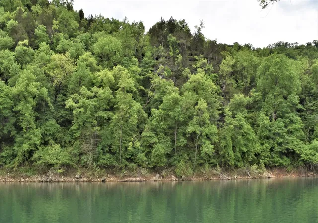 Photo 1 of Land for sale at 1217 Cr 231, Eureka Springs, AR 72631 | MLS# 1282591 | Listing updated on 2026-08-14
