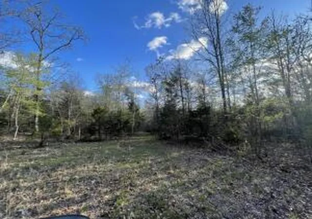 Land for sale at 6.9 Acres Hwy 125 S, Peel, AR 72668 | MLS# H148770
