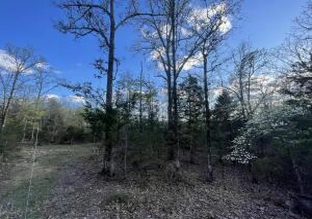 Photo 2 of Land for sale at 69 Acres Hwy 125 S, Peel, AR 72668 | MLS# H148770 | Listing updated on 2026-08-12
