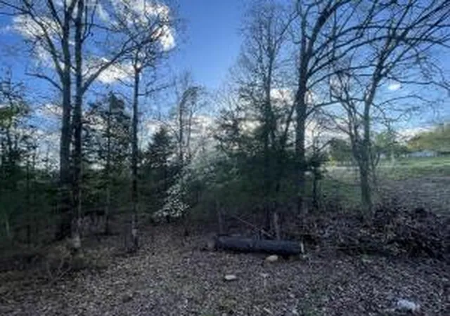 Photo 3 of Land for sale at 69 Acres Hwy 125 S, Peel, AR 72668 | MLS# H148770 | Listing updated on 2026-08-12