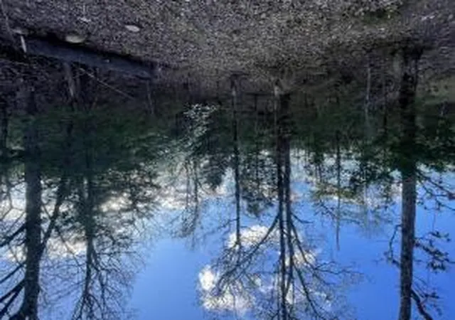 Photo 3 of Land for sale at 69 Acres Hwy 125 S, Peel, AR 72668 | MLS# H148770 | Listing updated on 2026-08-12