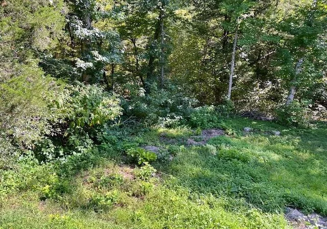 9th image of Hc 73 Box 99, Marble Falls, AR 72648 | MLS# H149413