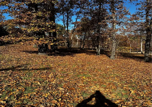Photo 1 of Land for sale at Lot 106 E Robin Rd, Rogers, AR 72756 | MLS# 1284580 | Listing updated on 2026-08-20