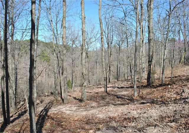 Photo 1 of Land for sale at Lot 101 E Robin Rd, Rogers, AR 72756 | MLS# 1284609 | Listing updated on 2026-08-20