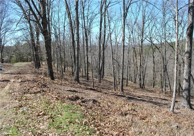 Photo 2 of Land for sale at Lot 101 E Robin Rd, Rogers, AR 72756 | MLS# 1284609 | Listing updated on 2026-08-20