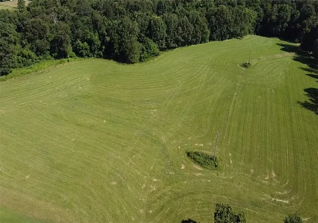 55th image of 893 Zinc Rd, Harrison, AR 72601 | MLS# 1297087